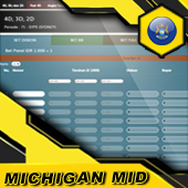 MICHIGAN-MID.jpg